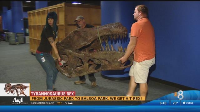 From Jurassic Park to Balboa Park, we get a T. rex - CBS 8 San Diego