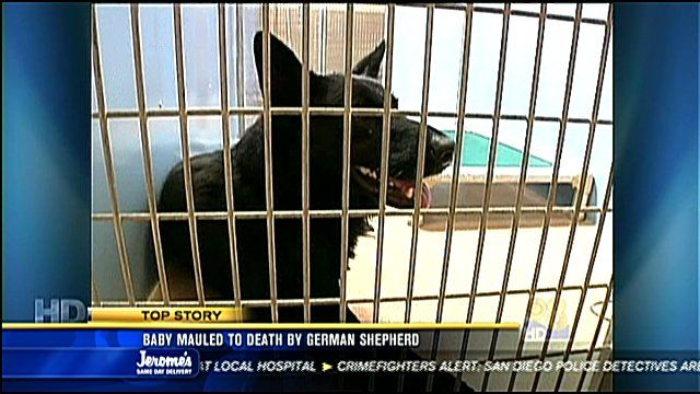 Death of 2-year-old boy mauled by dog ruled an accident; Dog is put