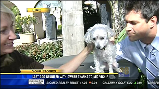 lost-dog-reunited-with-owner-thanks-to-microchip-cbs-news-8-san