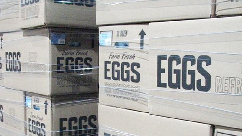 Thousands of Publix eggs added to recall due to salmonella risk