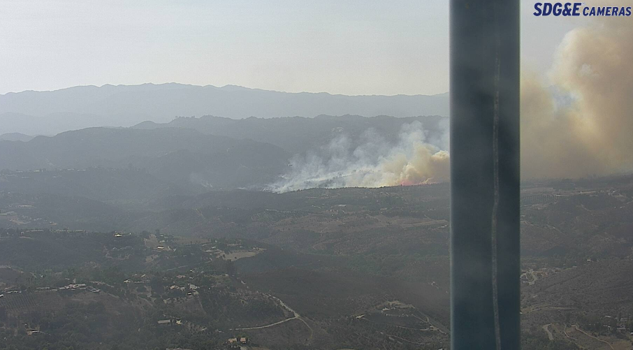 San Diego Dating Scen