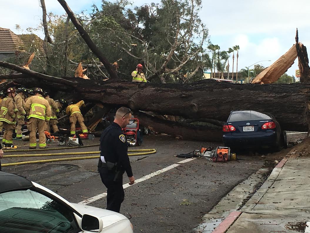 Memorial For Woman Killed After Tree Falls On Car In Pacific Bea - CBS ...