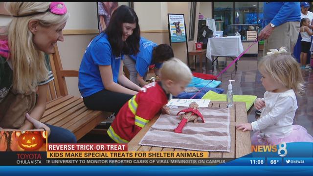 Reverse Trick-or-Treat: Kids make special treats for shelter ani - CBS ...