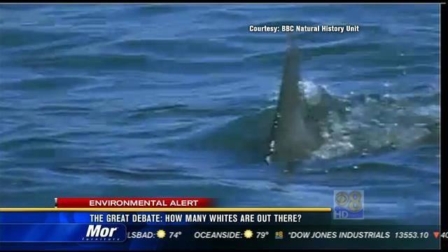 The great debate: How many great white sharks are out there? - CBS News ...