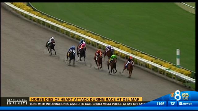 Horse drops dead on race