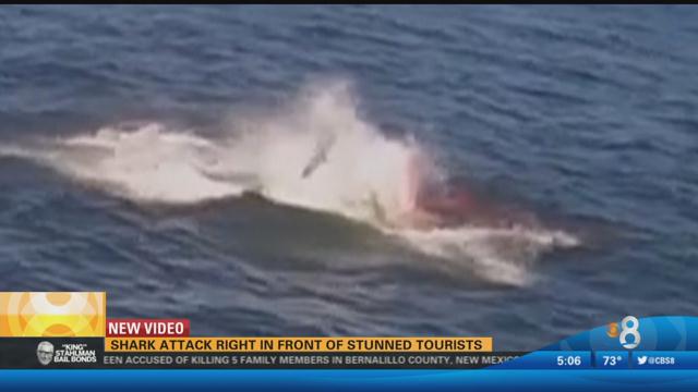 Shark attack right in front of stunned tourists - CBS News 8 - San ...